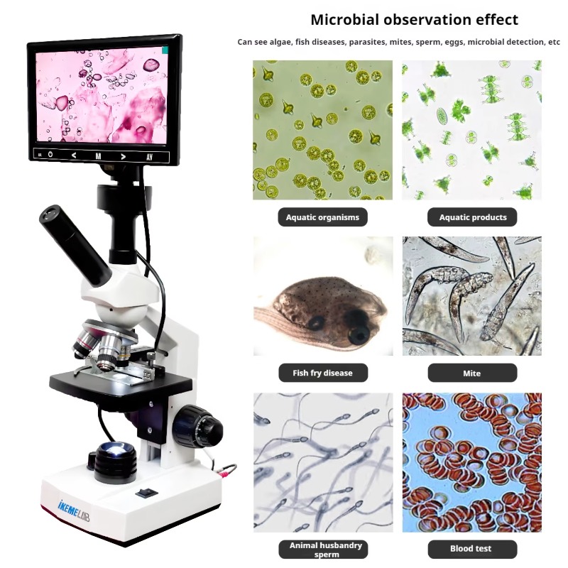 HD Screen Digital Microscope B - Medical Lab Microscope recension och pris