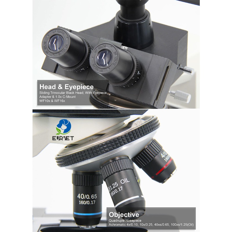 2026 Medical Lab Digital Biolo - Medical Lab Microscope recension och pris