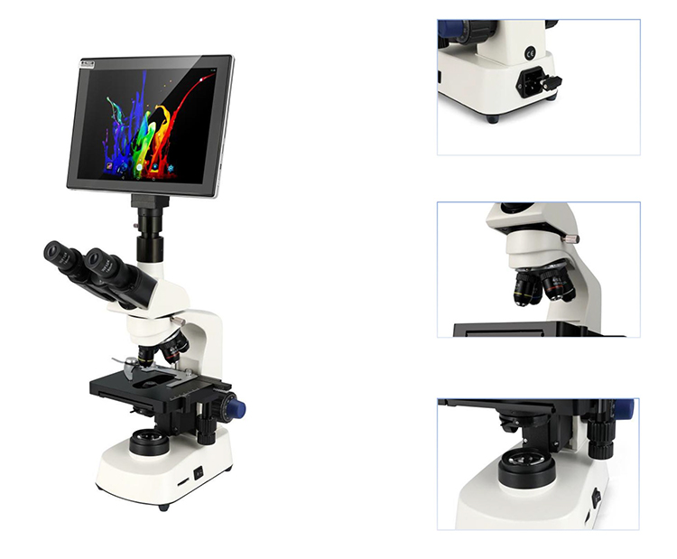 HC-B079A Cheap Microscope Elec - Medical Lab Microscope recension och pris